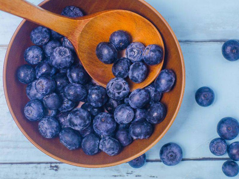 Blueberries Blog 2